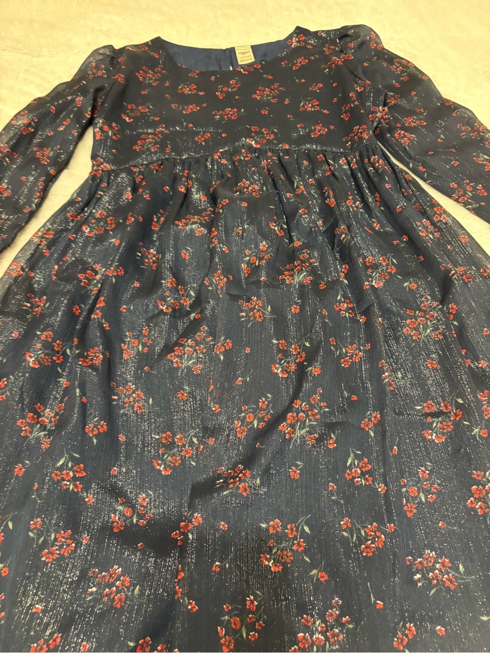 OshKosh B'gosh Navy Dress with Red Floral Print